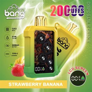 Bang 20000 puff disposable vape