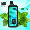 Breze Stiik Blaze BS 10000 Puffs Disposable E Cigarette Vaper minty o vape (7)