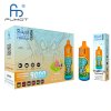 Randm Tornado 9000 Disposable Vape 850mAh Battery 0.8 Ohm Mesh Coil Disposable E-Cigarette