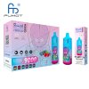 Randm Tornado 9000 Disposable Vape 850mAh Battery 0.8 Ohm Mesh Coil Disposable E-Cigarette