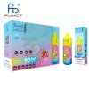 Randm Tornado 9000 Disposable Vape 850mAh Battery 0.8 Ohm Mesh Coil Disposable E-Cigarette