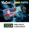 Vapsolo Viking 9000 Puff E Hookah Charger Custom Vaporizer Pod System Battery Display Screen Private Label Vape