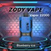Zooy Disposable Vape European Warehouse Multiple Flavors Shipped Directly Vape Zooy Vapor 22000 Puffs Vape Shisha 20000 Blaze 25000 Puff Bar Vape Pen I Vape