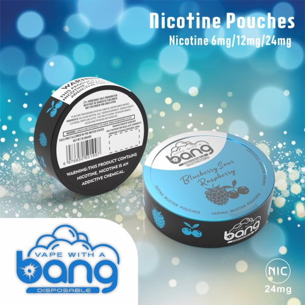 Bang,Bang VAPING MUSTER POUCHES,Pouch,Pouch Bang, Snus