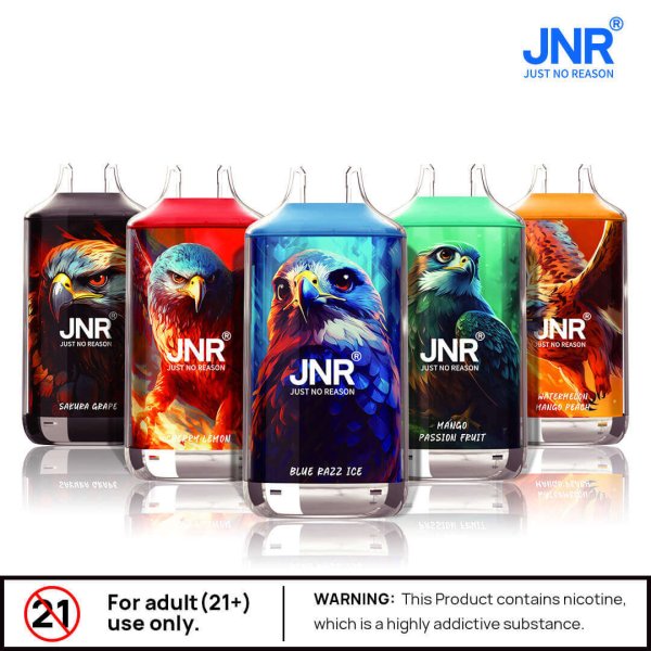 JNR FALCON 16k puffs vape