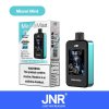 Wholesale Sales of Display Touchscreen Camera Jnr Media Max 40000 Puffs 10 Flavors of Disposable E-Cigarette Vape