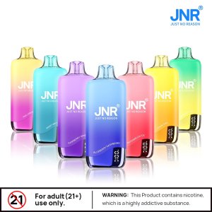 Jnr Rainbow 10500 Puffs Disposable Vaper Dual Mesh Vape Electronic Cigarette With Display