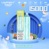 EU Warehouse VAPEN Shisha Hookah DTL 15000Puffs Disposable Vape JNR Flavors 15K Puff Vapes