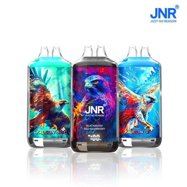 JNR FALCON-X⁺ 28000 puffs vape blackberry red raspberry