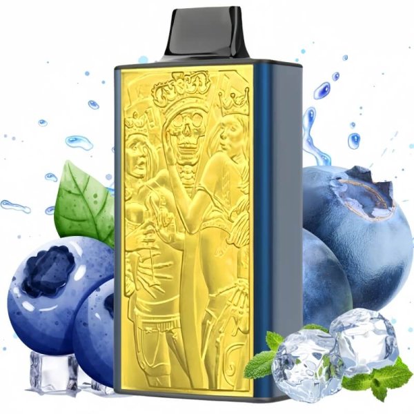 JNR MEGA BOX 25000 puffs vape blueberry ice