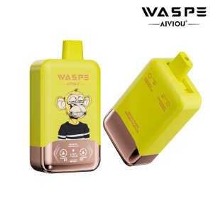 WASPE AIVIOU 40K puff dual flavors vape