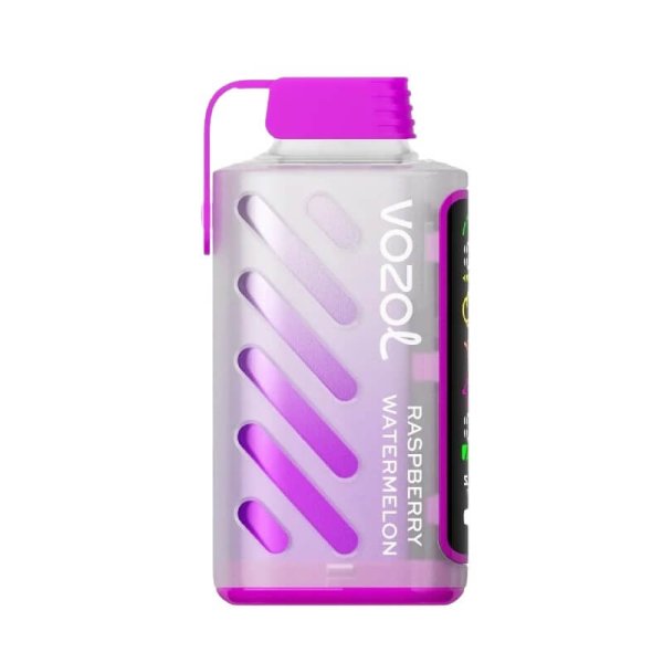 VOZOL Gear Power 20K Vape raspberry watermelon